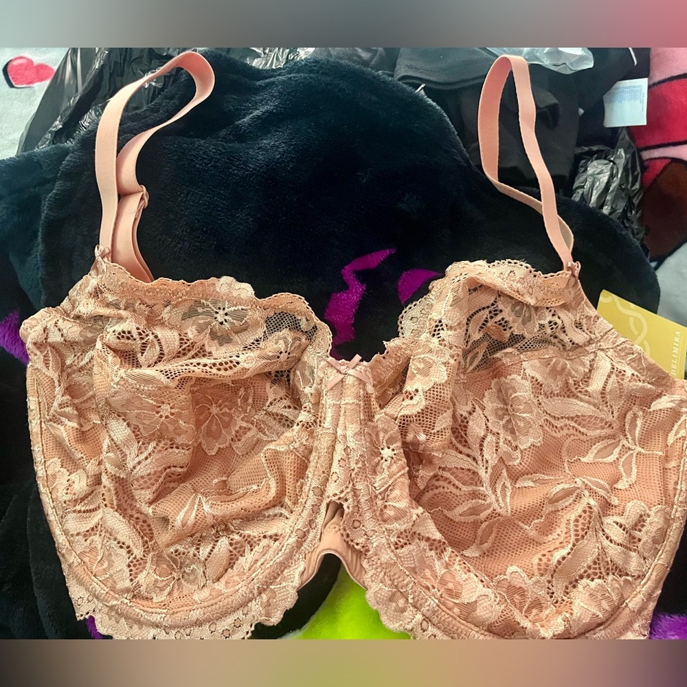 New! Delimira Sunkist Lace Bra
